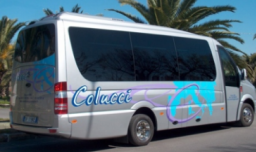 noleggio minibus Colucci